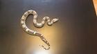 2,2 Boa constrictor imperator KOLUMBIEN Bonny Linie