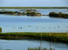 Ferienwohnungen am Wattenmeer