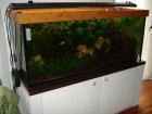 Aquarium komplett 450L