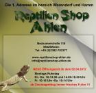 Terraristik Fachgeschäft in Ahlen