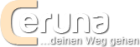 Registrieren Sie sich jetzt kostenlos für Ihr Gratisgespräch bei Ceruna.de