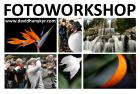 Fotoworkshop und Fotokurse in Essen, NRW