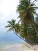 Herbstferien NRW: 15 Tage Sri Lanka ab 823 €