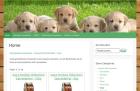 Marp Hundefutter - getreidefreies Hundefutter