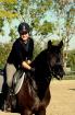 Reitunterricht und Berittpferde  - Trainer A - 