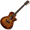 Taylor K22ce Koa Grand Concert Electro-Acoustic Guitar with Cway