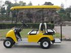 PM-2+2 Elektro Golf Cart Golfcar für 4 Personen