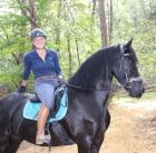 Glattes Reiten Friesian Mare