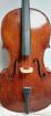 Stentor cello 4/ 4