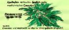 POLITNIK 1189 Cannabis 15 .09.16 Original Meierhof