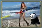 ZENDAYA mit Panda. Star Souvenir. Geschenkidee. Zimmerdeko. Blickfang. Unikat, W