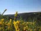 Mai 2022 Eifel-Urlaub 2 Fewo frei