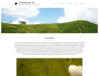Wordpress Webseite günstig