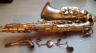 BORGANI ALTO SAX  PEARL GOLD