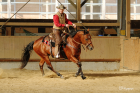 Westerntraining & Beritt 