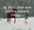 Spazier- und Pflegebeteiligung für Pony gesucht