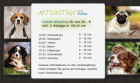 Hunde-Foto-Aktions-Tage2021 - Hundefotos für nur 29,- € - 11.03. Berlin