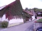 Sonne und Wein, Winzerhof im Kaiserstuhl