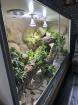 Terrarium top Zustand