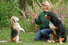 Hundepension und Hundeschule Georgia Greuter 