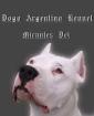 Suchen wir Dogo Argentino,Dogo Alano/Canario,Bullterier oder Cane Corso Platz vo