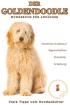 Buch über Goldendoodle, Golden Retriever x Pudel, Rasse-Beschreibung-Portrait, C