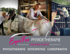 Osteopathie, Physiotherapie & Chiropraktik für Pferde