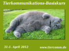 Kurs Tierkommunikation Bremen 31.03.- 01.04-0.7978